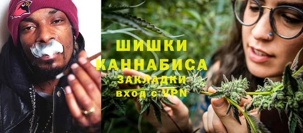 PSILOCYBIN Навашино